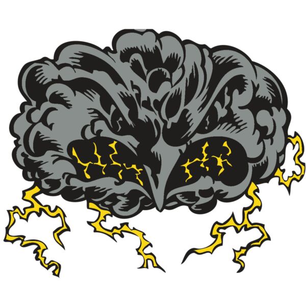 BAW STORM 11 RC Thumbnail